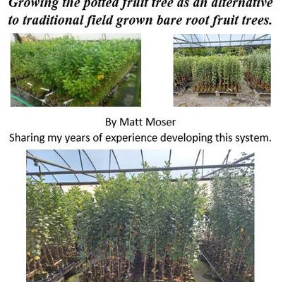 Matt shares his experiences in developing the FastFruitTree system. Available on the Grafting Systems website.
