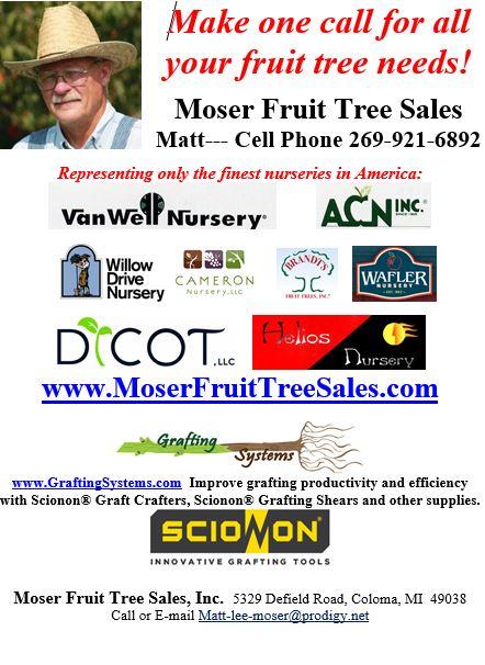 Commercial Tree Sales