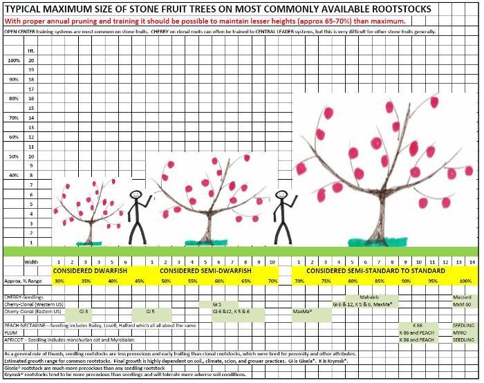 RS-Cherry Rootstocks