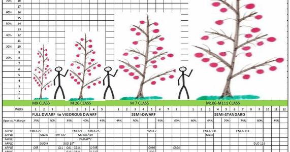 RS-Apples Rootstocks