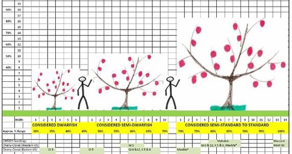 RS-Stone Fruit Rootstocks