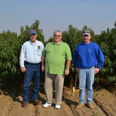 Matt with Pete and Ric Van Well. The Moser's have been working with the Van Wells since the 1970s.